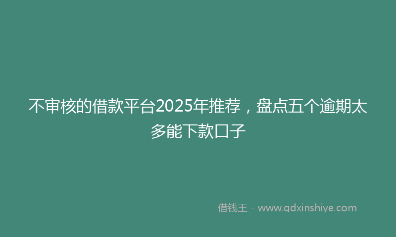 不审核的借款平台2025年推荐，盘点五个逾期太多能下款口子