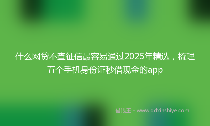 什么网贷不查征信最容易通过2025年精选，梳理五个手机身份证秒借现金的app