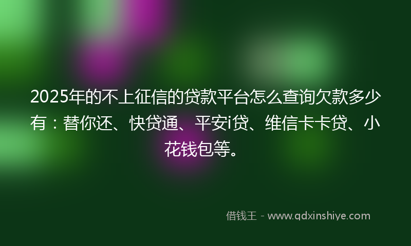 2025年的不上征信的贷款平台怎么查询欠款多少有：替你还、快贷通、平安i贷、维信卡卡贷、小花钱包等。