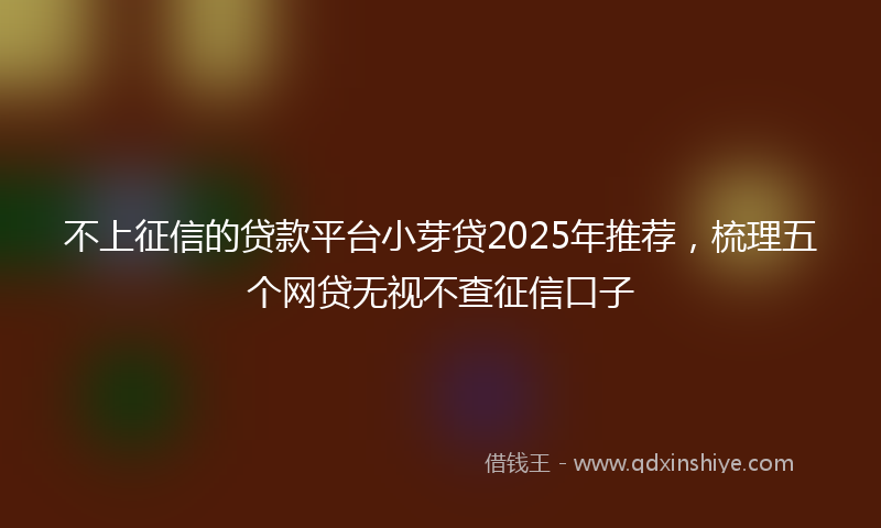 不上征信的贷款平台小芽贷2025年推荐，梳理五个网贷无视不查征信口子