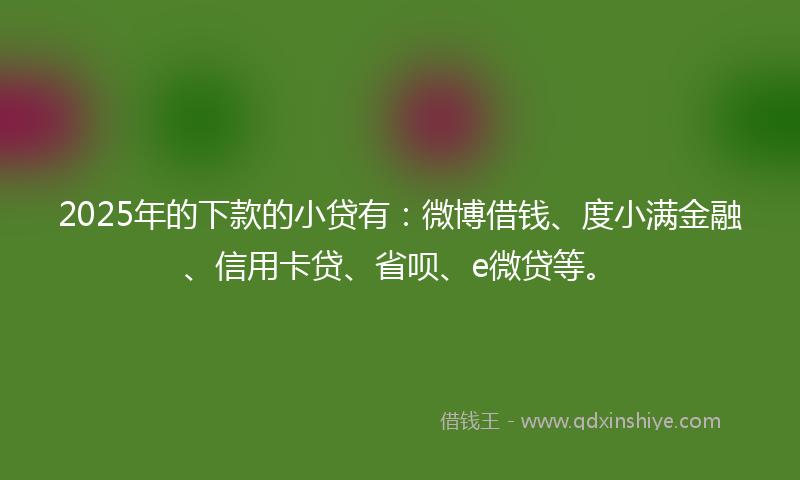 2025年的下款的小贷有：微博借钱、度小满金融、信用卡贷、省呗、e微贷等。