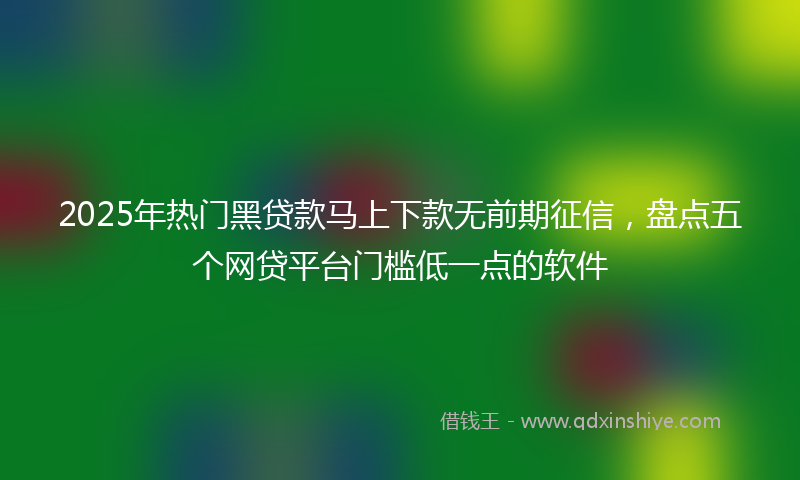 2025年热门黑贷款马上下款无前期征信，盘点五个网贷平台门槛低一点的软件