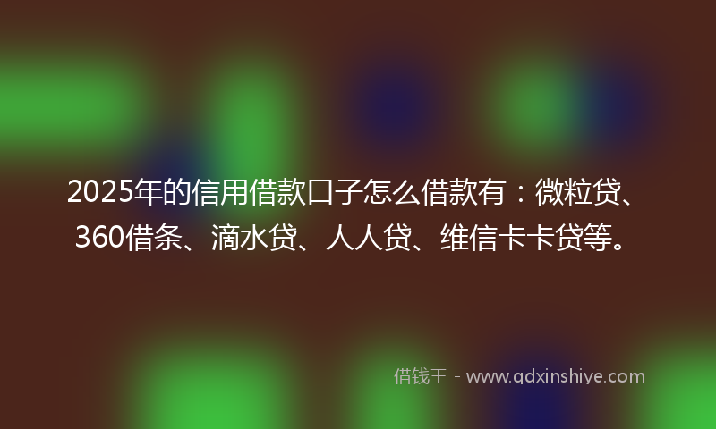 2025年的信用借款口子怎么借款有：微粒贷、360借条、滴水贷、人人贷、维信卡卡贷等。