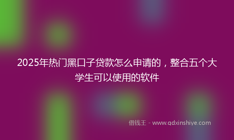 2025年热门黑口子贷款怎么申请的，整合五个大学生可以使用的软件