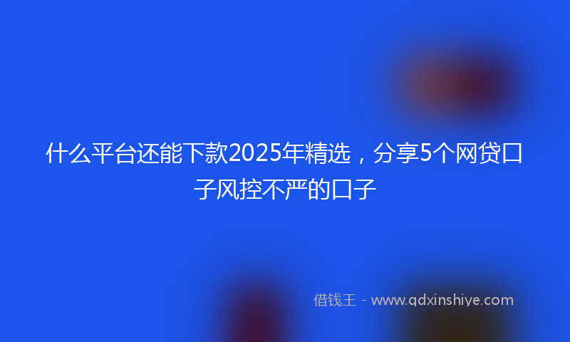 什么平台还能下款2025年精选，分享5个网贷口子风控不严的口子
