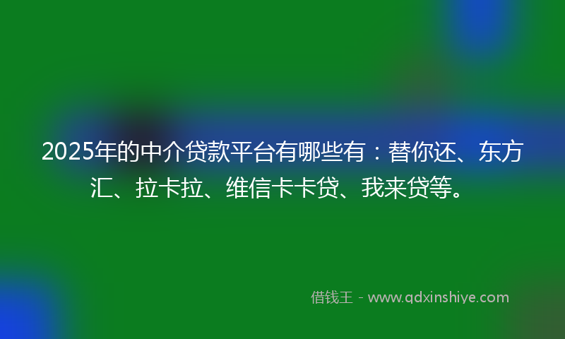 2025年的中介贷款平台有哪些有：替你还、东方汇、拉卡拉、维信卡卡贷、我来贷等。