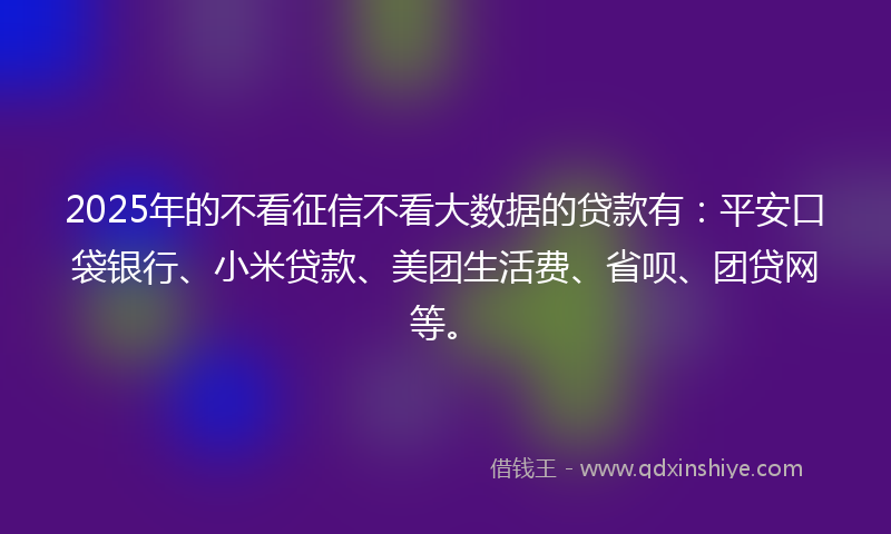 2025年的不看征信不看大数据的贷款有：平安口袋银行、小米贷款、美团生活费、省呗、团贷网等。