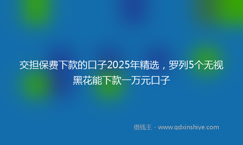 交担保费下款的口子2025年精选，罗列5个无视黑花能下款一万元口子