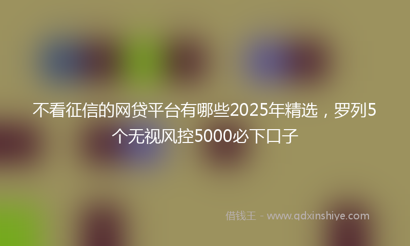 不看征信的网贷平台有哪些2025年精选，罗列5个无视风控5000必下口子