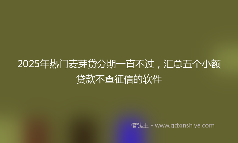 2025年热门麦芽贷分期一直不过，汇总五个小额贷款不查征信的软件