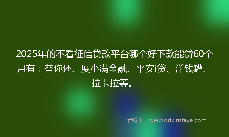 2025年的不看征信贷款平台哪个好下款能贷60个月有：替你还、度小满金融、平安i贷、洋钱罐、拉卡拉等。