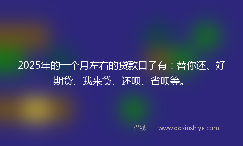 2025年的一个月左右的贷款口子有:替你还、好期贷、我来贷、还呗、省呗等。