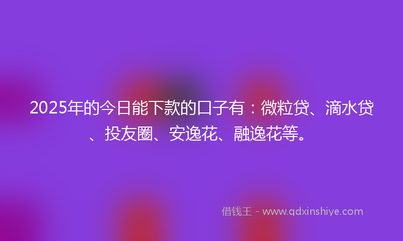 2025年的今日能下款的口子有：微粒贷、滴水贷、投友圈、安逸花、融逸花等。