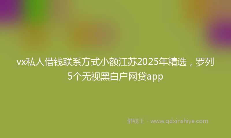 vx私人借钱联系方式小额江苏2025年精选，罗列5个无视黑白户网贷app