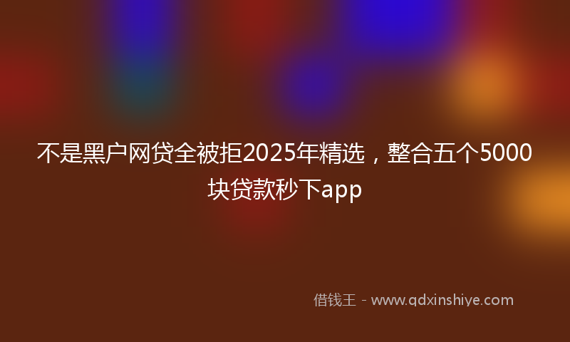 不是黑户网贷全被拒2025年精选，整合五个5000块贷款秒下app