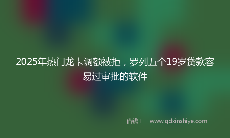 2025年热门龙卡调额被拒，罗列五个19岁贷款容易过审批的软件