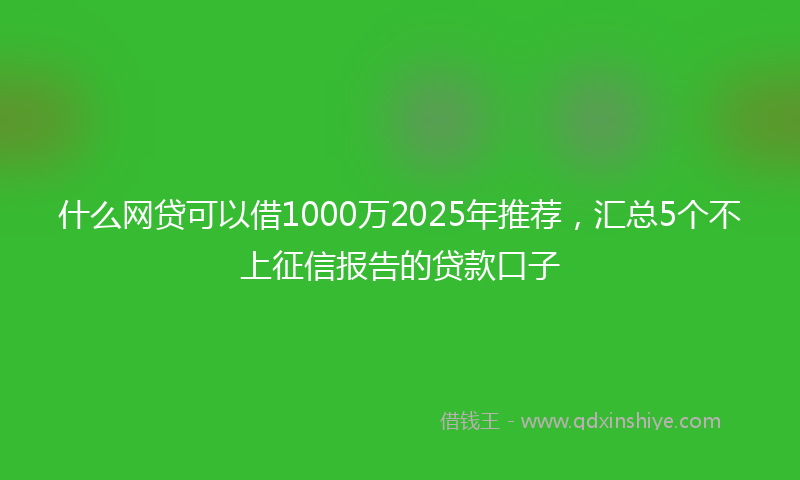 什么网贷可以借1000万2025年推荐，汇总5个不上征信报告的贷款口子