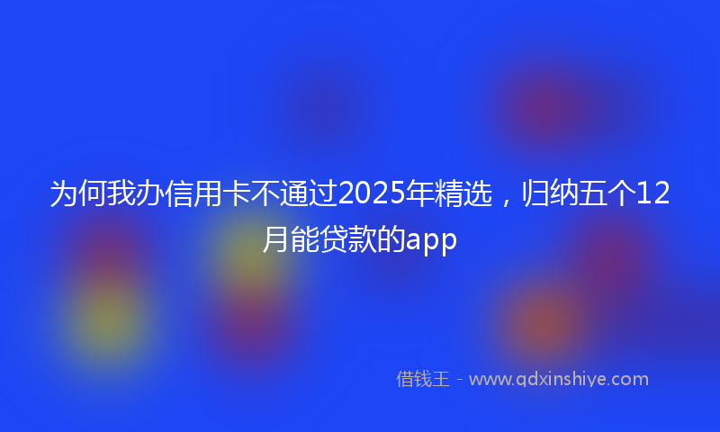 为何我办信用卡不通过2025年精选，归纳五个12月能贷款的app