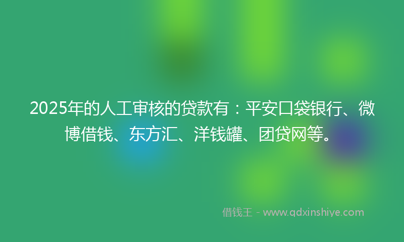 2025年的人工审核的贷款有：平安口袋银行、微博借钱、东方汇、洋钱罐、团贷网等。