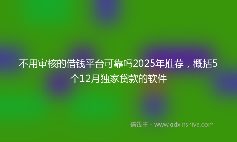 不用审核的借钱平台可靠吗2025年推荐，概括5个12月独家贷款的软件