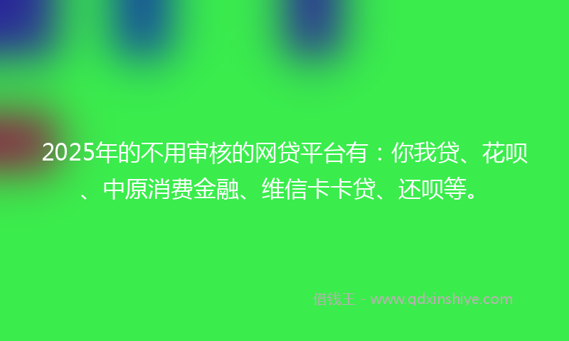2025年的不用审核的网贷平台有：你我贷、花呗、中原消费金融、维信卡卡贷、还呗等。