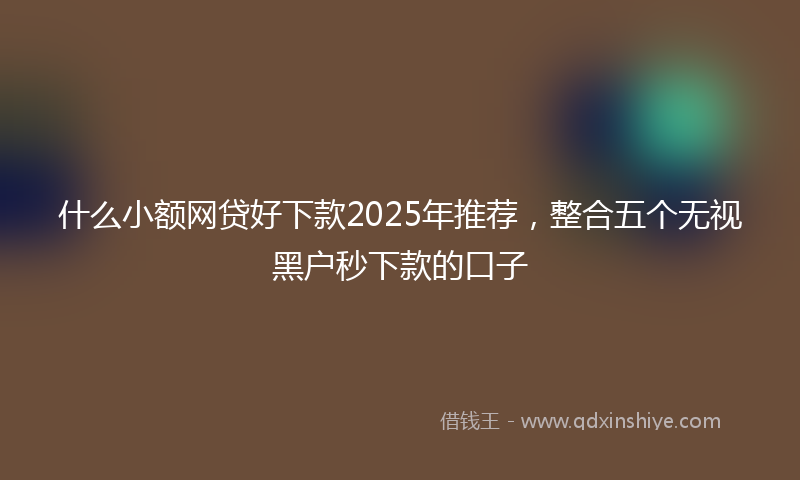 什么小额网贷好下款2025年推荐，整合五个无视黑户秒下款的口子