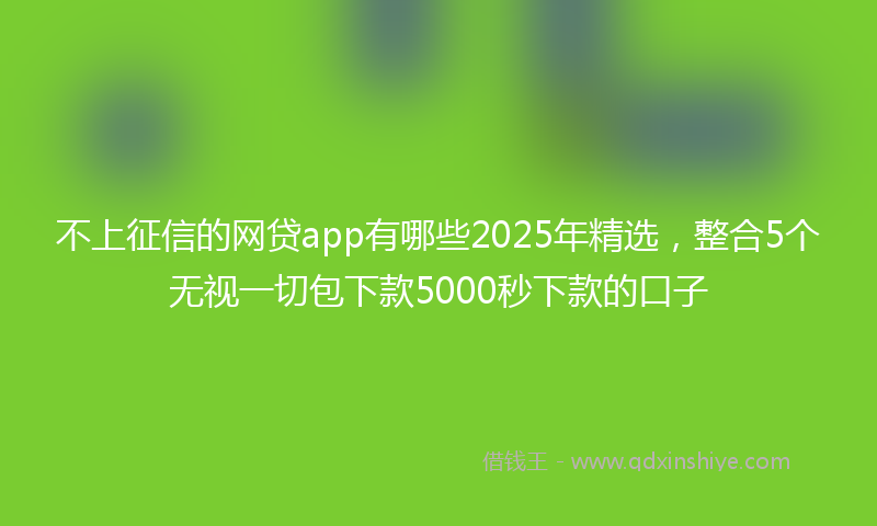 不上征信的网贷app有哪些2025年精选，整合5个无视一切包下款5000秒下款的口子