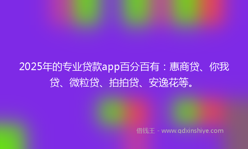 2025年的专业贷款app百分百有：惠商贷、你我贷、微粒贷、拍拍贷、安逸花等。