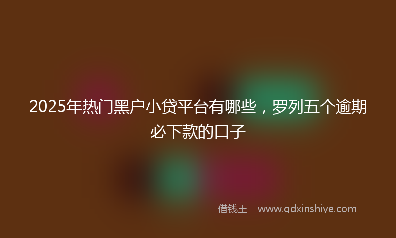 2025年热门黑户小贷平台有哪些，罗列五个逾期必下款的口子