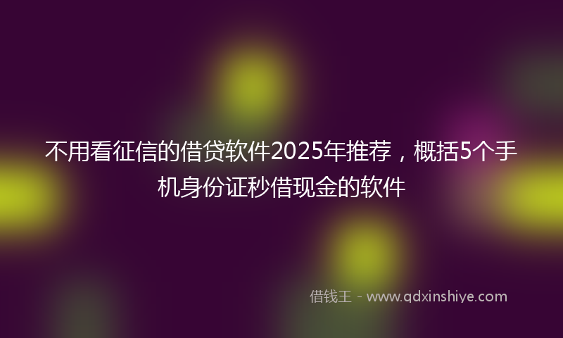 不用看征信的借贷软件2025年推荐，概括5个手机身份证秒借现金的软件