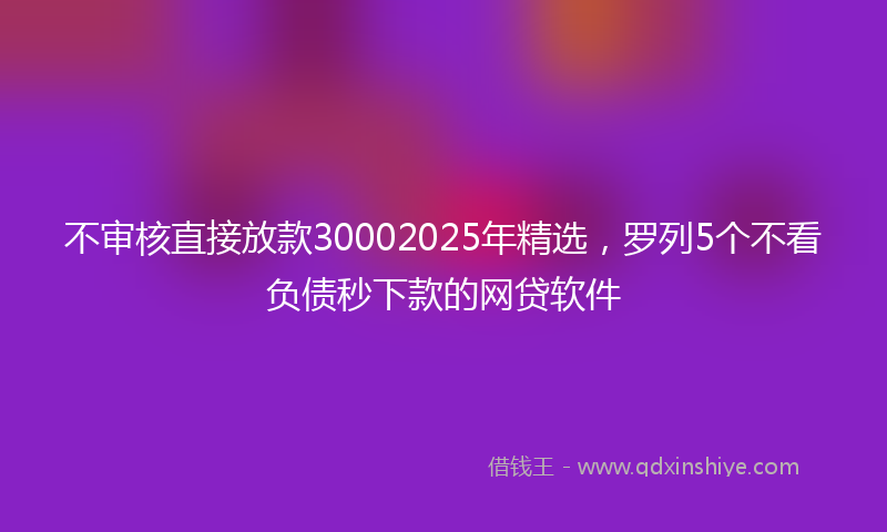 不审核直接放款30002025年精选，罗列5个不看负债秒下款的网贷软件