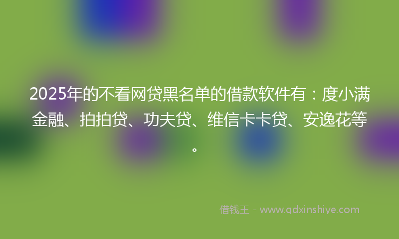 2025年的不看网贷黑名单的借款软件有：度小满金融、拍拍贷、功夫贷、维信卡卡贷、安逸花等。