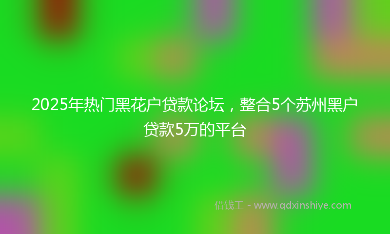 2025年热门黑花户贷款论坛，整合5个苏州黑户贷款5万的平台