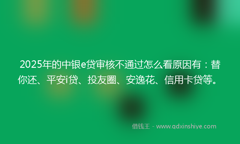 2025年的中银e贷审核不通过怎么看原因有：替你还、平安i贷、投友圈、安逸花、信用卡贷等。