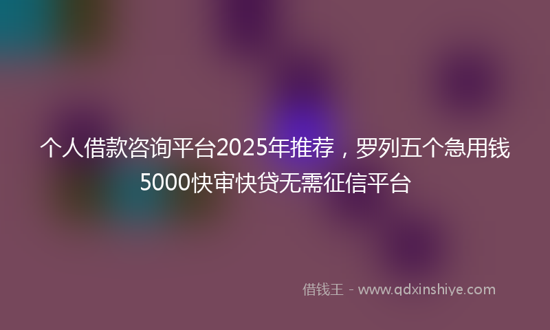 个人借款咨询平台2025年推荐，罗列五个急用钱5000快审快贷无需征信平台