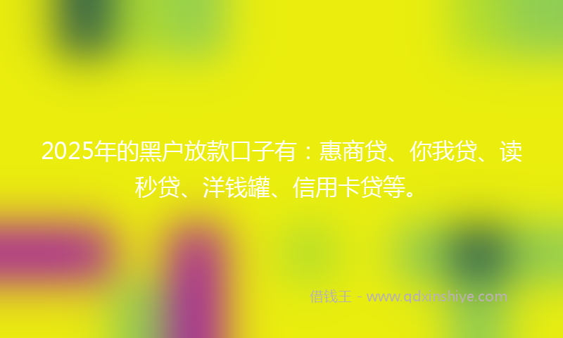 2025年的黑户放款口子有：惠商贷、你我贷、读秒贷、洋钱罐、信用卡贷等。