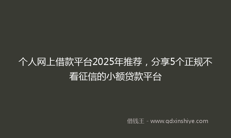 个人网上借款平台2025年推荐，分享5个正规不看征信的小额贷款平台