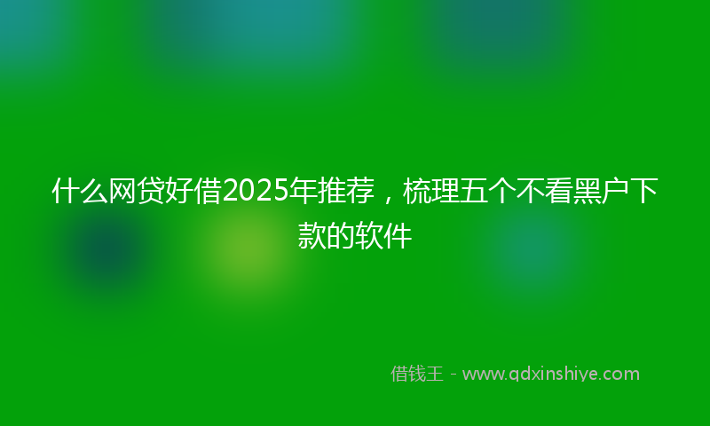 什么网贷好借2025年推荐，梳理五个不看黑户下款的软件