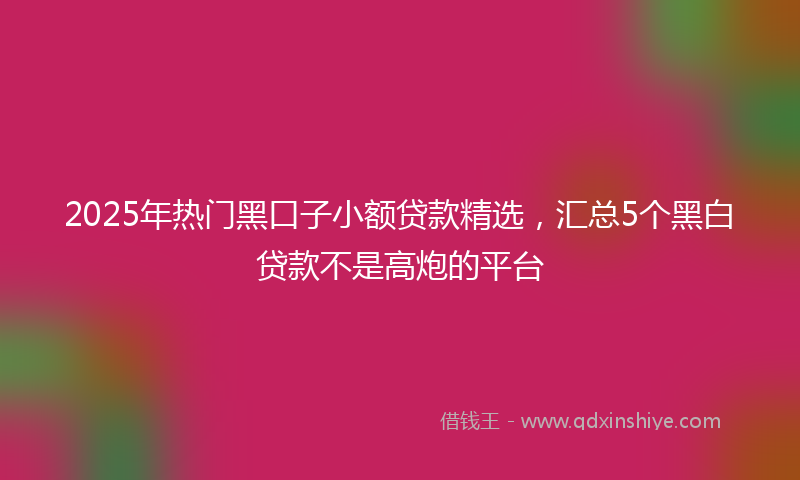 2025年热门黑口子小额贷款精选，汇总5个黑白贷款不是高炮的平台