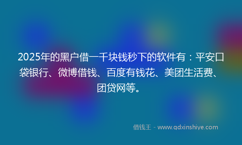 2025年的黑户借一千块钱秒下的软件有：平安口袋银行、微博借钱、百度有钱花、美团生活费、团贷网等。