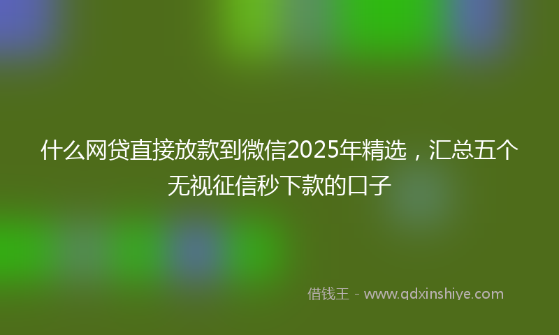 什么网贷直接放款到微信2025年精选，汇总五个无视征信秒下款的口子