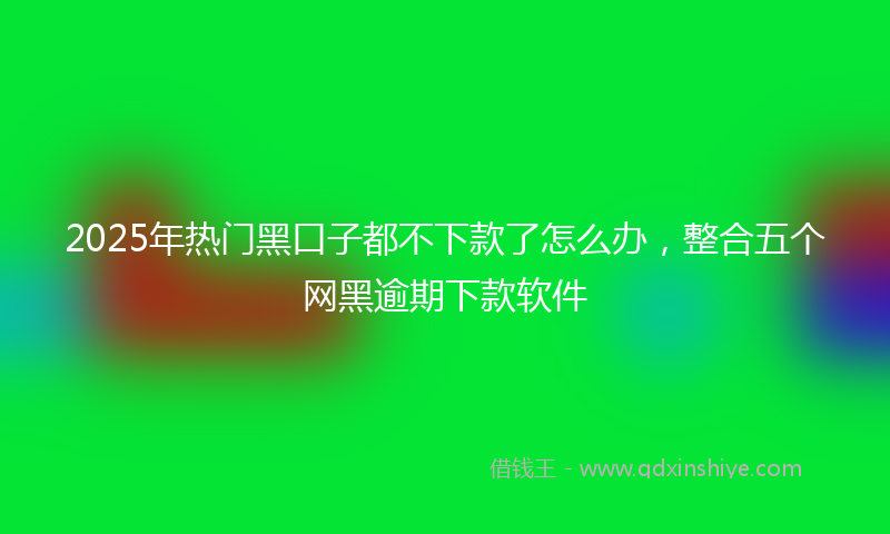 2025年热门黑口子都不下款了怎么办，整合五个网黑逾期下款软件