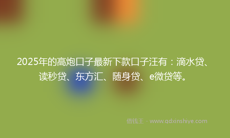 2025年的高炮口子最新下款口子汪有：滴水贷、读秒贷、东方汇、随身贷、e微贷等。