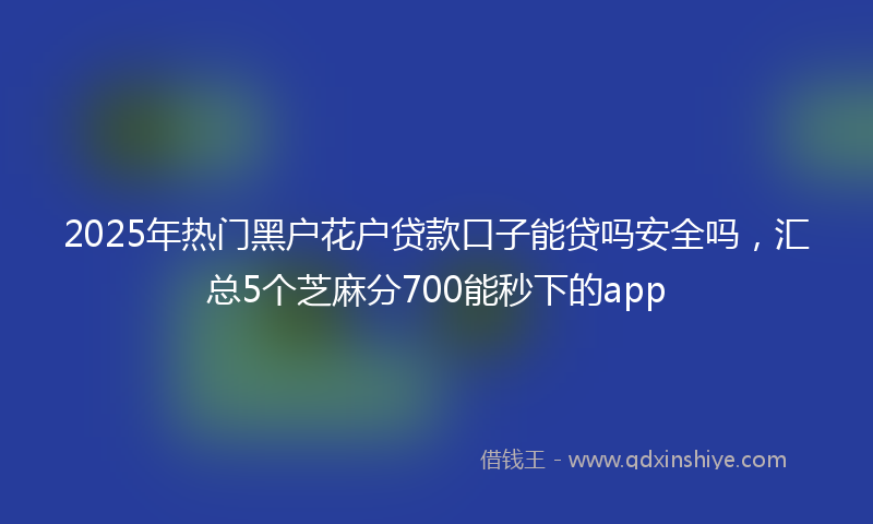 2025年热门黑户花户贷款口子能贷吗安全吗，汇总5个芝麻分700能秒下的app