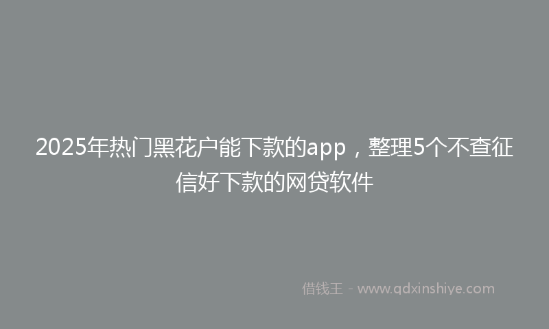 2025年热门黑花户能下款的app，整理5个不查征信好下款的网贷软件