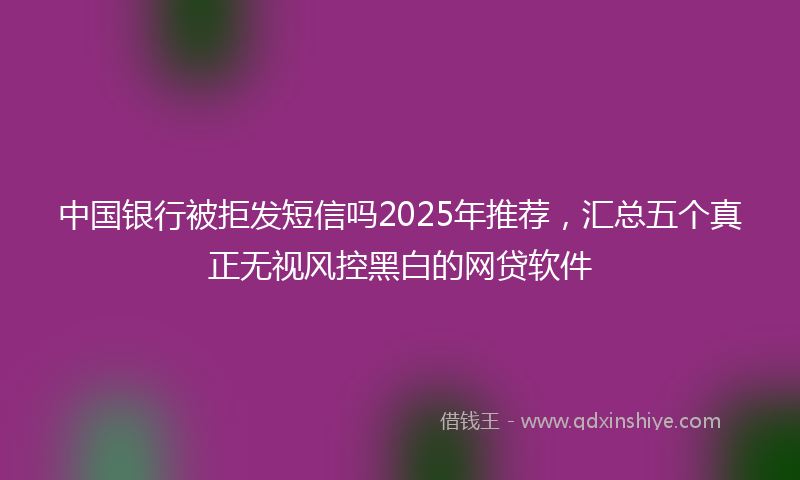 中国银行被拒发短信吗2025年推荐，汇总五个真正无视风控黑白的网贷软件