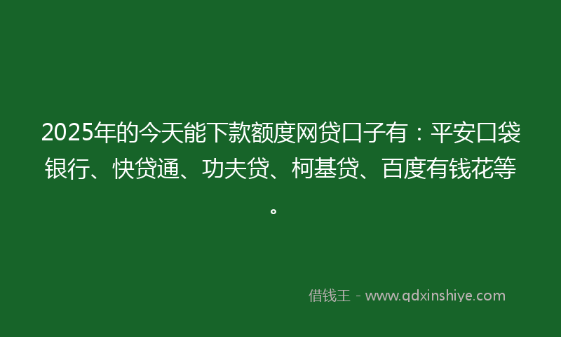 2025年的今天能下款额度网贷口子有：平安口袋银行、快贷通、功夫贷、柯基贷、百度有钱花等。