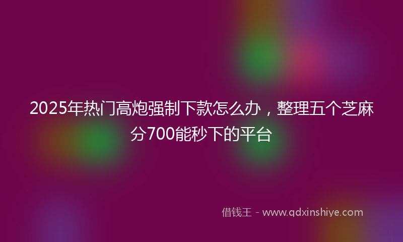 2025年热门高炮强制下款怎么办，整理五个芝麻分700能秒下的平台