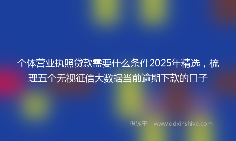个体营业执照贷款需要什么条件2025年精选，梳理五个无视征信大数据当前逾期下款的口子