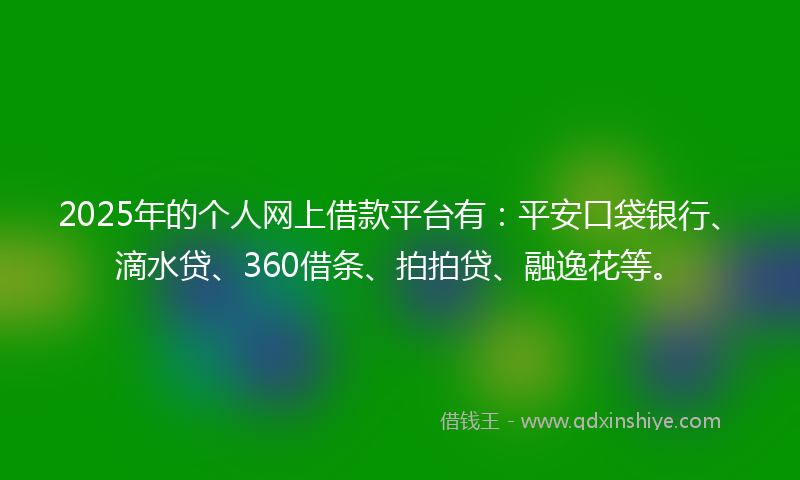 2025年的个人网上借款平台有：平安口袋银行、滴水贷、360借条、拍拍贷、融逸花等。